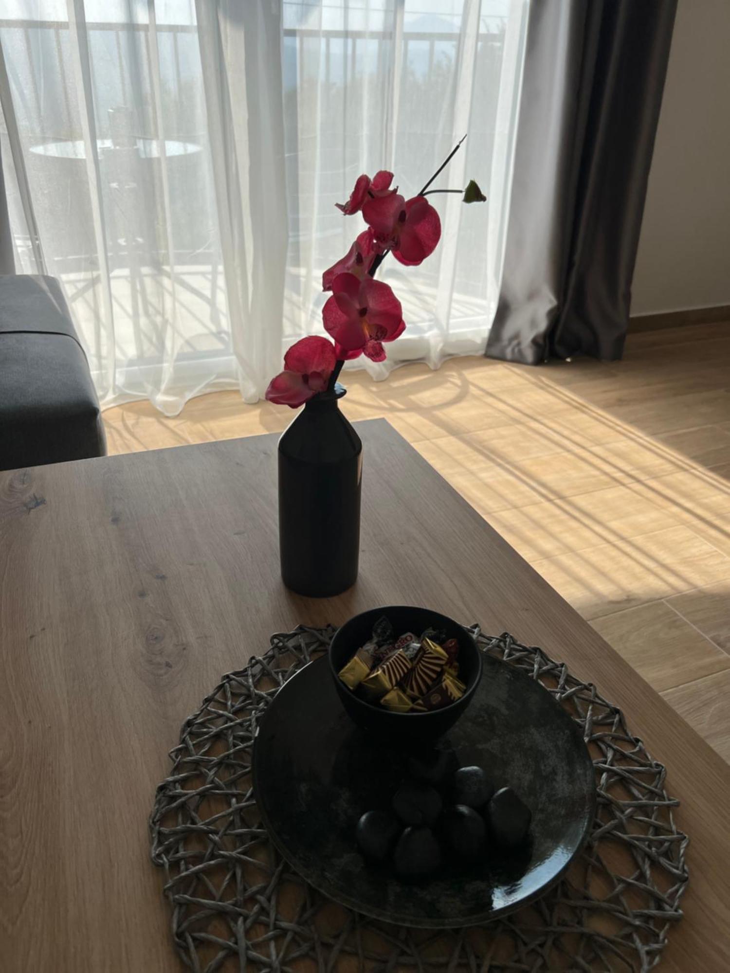 Apartment Has Kotor